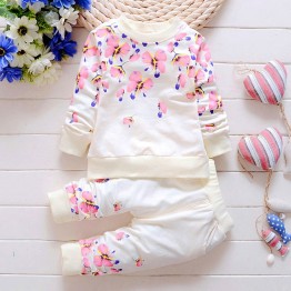 Baby Girl Clothing Sets Fashion Long Sleeve Print Flower Toddler Tshirt + Pants 2PCS 1 2 3 4 Years Kids Girls Wear